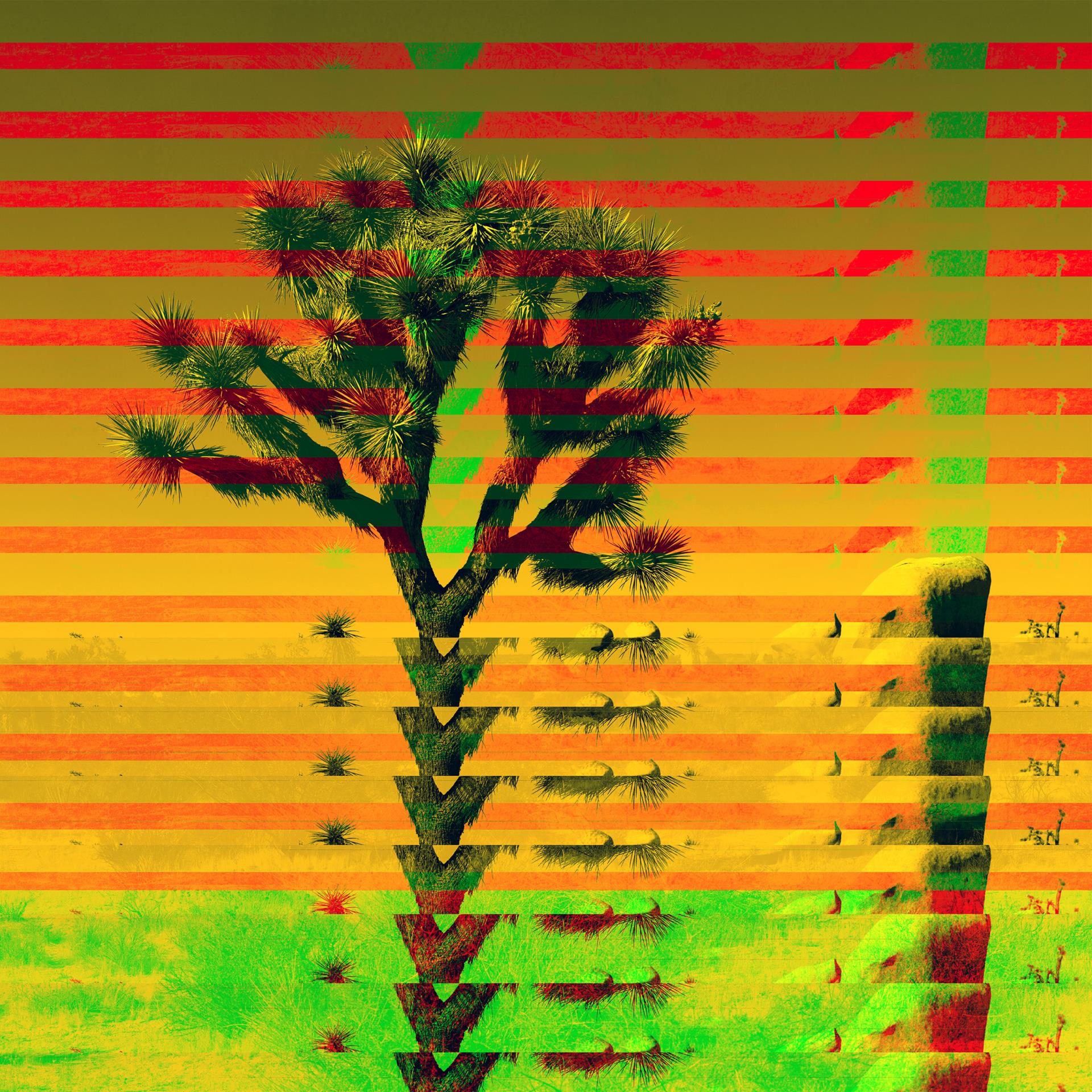 Karchi_Perlmann_Joshua_Tree_Giga__Giga_Plate1