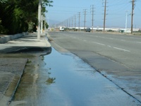 Standing Water