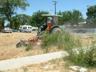 Weed Abatement