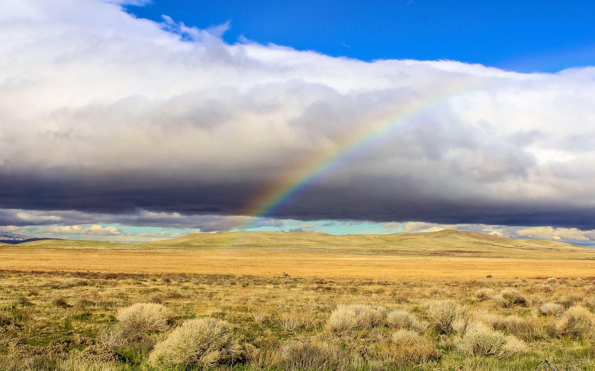 Photo of antelope valley fields with a blue background, fluffy white storm clouds across the sky, with a rainbow peeking through