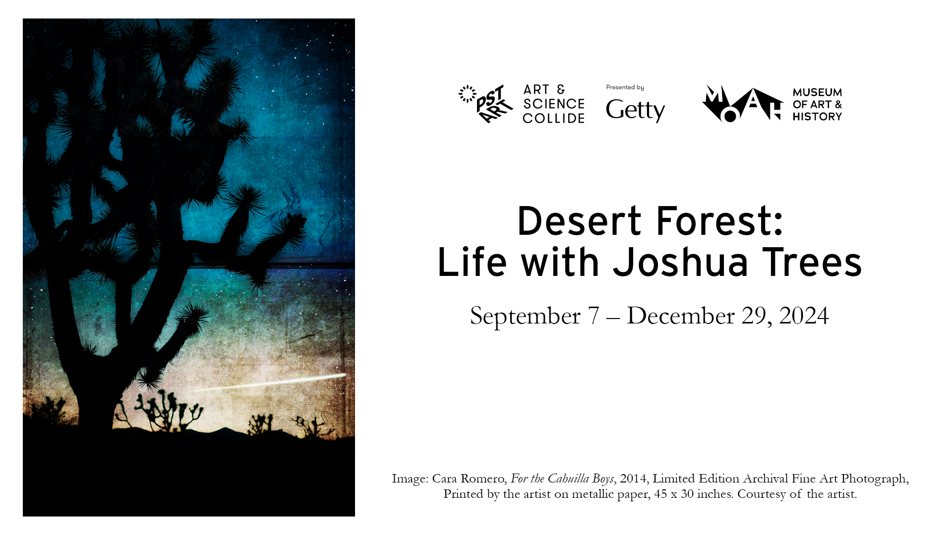 Getty PST Life with Joshua Trees Newsletter Blast White