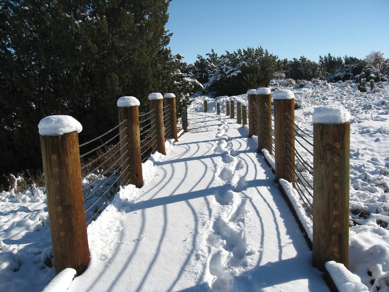 PDWP in the Snow Photo Album Cover